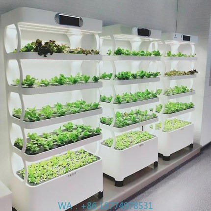 Automatyczny system hydroponic – Home Automation System Diy recenzja i cena